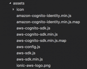 Ionic Aws stack assets folder
